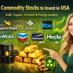 Best Commodity Stocks USA